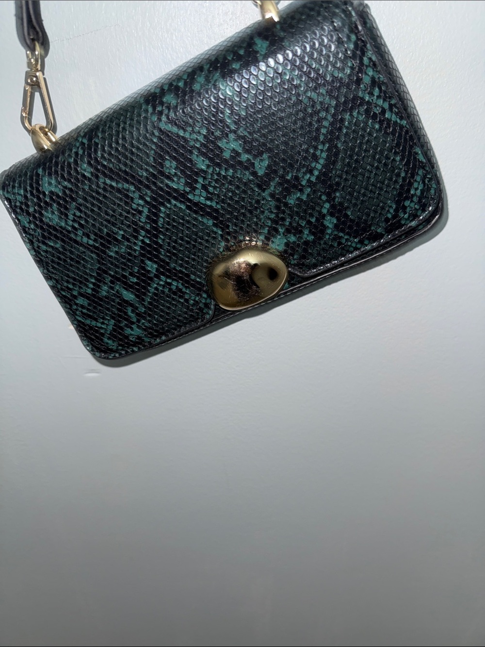 Green Snake-Print Crossbody Bag with Gold Hardware